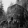 Click to enlarge Mercury Smelter Sultan Washington